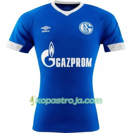 Billiga Fotbollströjor FC Schalke 04 Hemma tröja 2018/19 Kortärmad